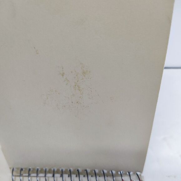 Reporter's Notebook 4" x 8" Earthwise by Ampad Recycled - Picture 3 of 7